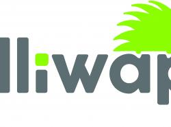 ILLIWAP
